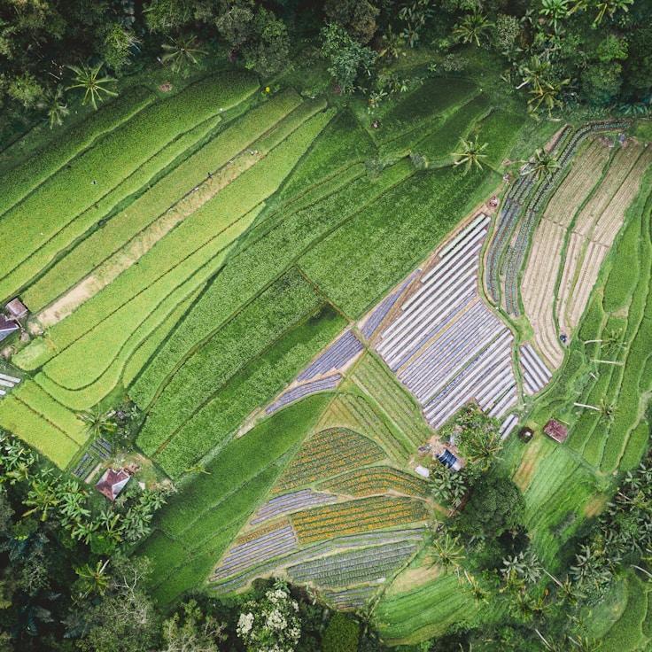 Outdoor terrace seating suitable for families in Paris